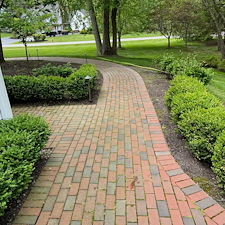 Bentleyville-Brick-Paver-Restoration-Why-Weeds-Keep-Coming-Back-Between-Your-Pavers 0