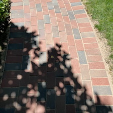 Bentleyville-Brick-Paver-Restoration-Why-Weeds-Keep-Coming-Back-Between-Your-Pavers 8