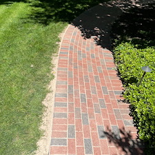 Bentleyville-Brick-Paver-Restoration-Why-Weeds-Keep-Coming-Back-Between-Your-Pavers 9