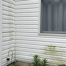 Medina-Residential-Pressure-Washing-and-Exterior-Surface-Restoration 6
