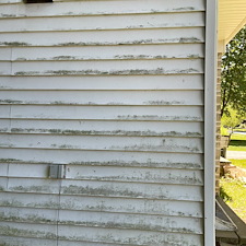 South-Euclid-Residential-Pressure-Washing-House-Washing-Roof-Moss-Treatment-and-Roof-Algae-Cleaning 2